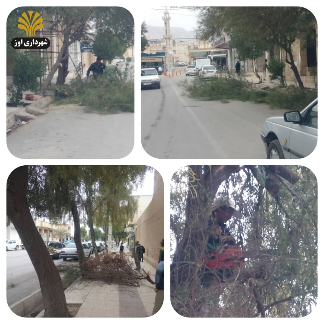 هرس درختان سطح شهر قبل از شروع بارندگی جهت رفع خطر توسط ستاد مدیریت بحران شهرداری اوز